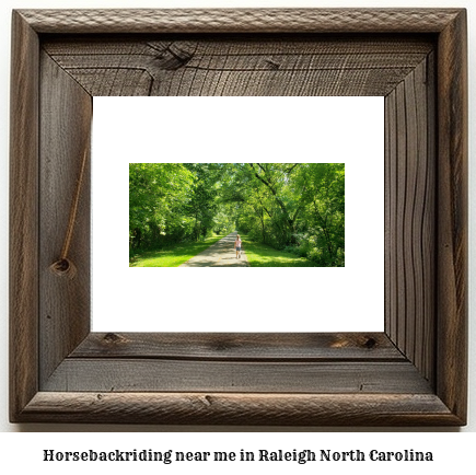 horseback riding near me in Raleigh, North Carolina